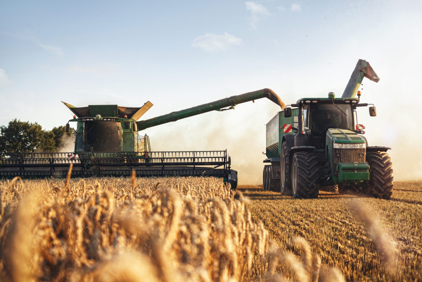 «Мирогрупп Ресурсы» и УК «Август-Агро» заключили контракты на поставку пшеницы